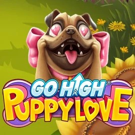 Try Go High Puppy Love slot by RubyPlay on casinogransinoo.com – logo image