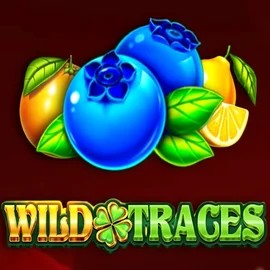 Play the Wild Traces slot by Amusnet Interactive on Gransino Casino