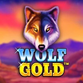 Try Wolf Gold slot by Pragmatic Play on casinogransinoo.com – logo image